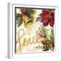 Christmas Poinsettia II-Lanie Loreth-Framed Premium Giclee Print