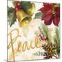Christmas Poinsettia II-Lanie Loreth-Mounted Premium Giclee Print