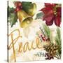 Christmas Poinsettia II-Lanie Loreth-Stretched Canvas