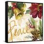 Christmas Poinsettia II-Lanie Loreth-Framed Stretched Canvas