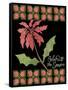 Christmas Pontsettia Black-Cyndi Lou-Framed Stretched Canvas