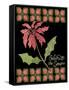 Christmas Pontsettia Black-Cyndi Lou-Framed Stretched Canvas