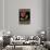 Christmas Pontsettia Black-Cyndi Lou-Stretched Canvas displayed on a wall