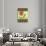 Christmas Pontsettia Cream-Cyndi Lou-Stretched Canvas displayed on a wall
