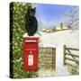 Christmas Post Box-Janet Pidoux-Stretched Canvas