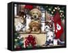 Christmas Puppies on the Loose-Jenny Newland-Framed Stretched Canvas