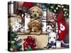 Christmas Puppies on the Loose-Jenny Newland-Stretched Canvas