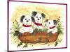 Christmas Puppies-Beverly Johnston-Mounted Giclee Print