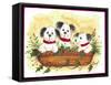 Christmas Puppies-Beverly Johnston-Framed Stretched Canvas