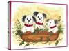 Christmas Puppies-Beverly Johnston-Stretched Canvas