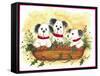 Christmas Puppies-Beverly Johnston-Framed Stretched Canvas