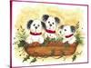 Christmas Puppies-Beverly Johnston-Stretched Canvas