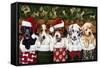 Christmas Puppies-William Vanderdasson-Framed Stretched Canvas