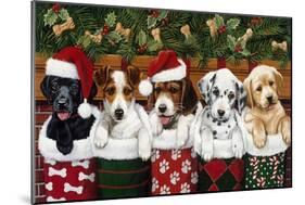 Christmas Puppies-William Vanderdasson-Mounted Giclee Print