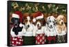 Christmas Puppies-William Vanderdasson-Framed Stretched Canvas