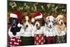 Christmas Puppies-William Vanderdasson-Mounted Giclee Print