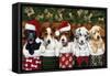 Christmas Puppies-William Vanderdasson-Framed Stretched Canvas