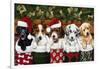 Christmas Puppies-William Vanderdasson-Framed Giclee Print