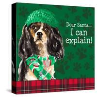 Christmas Puppy II-Lanie Loreth-Stretched Canvas