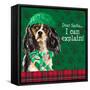 Christmas Puppy II-Lanie Loreth-Framed Stretched Canvas