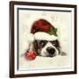 Christmas Puppy-Ali Chris-Framed Giclee Print