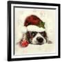 Christmas Puppy-Ali Chris-Framed Giclee Print