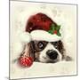 Christmas Puppy-Ali Chris-Mounted Giclee Print