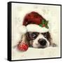 Christmas Puppy-Ali Chris-Framed Stretched Canvas