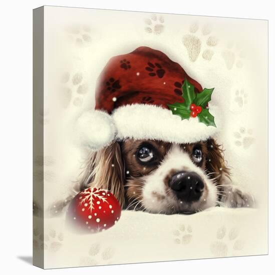 Christmas Puppy-Ali Chris-Stretched Canvas