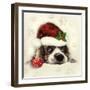 Christmas Puppy-Ali Chris-Framed Giclee Print