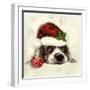 Christmas Puppy-Ali Chris-Framed Giclee Print