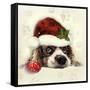 Christmas Puppy-Ali Chris-Framed Stretched Canvas