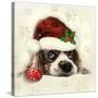 Christmas Puppy-Ali Chris-Stretched Canvas