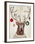 Christmas Reindeer II-Elizabeth Medley-Framed Art Print