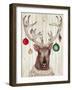 Christmas Reindeer II-Elizabeth Medley-Framed Art Print