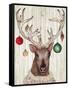 Christmas Reindeer II-Elizabeth Medley-Framed Stretched Canvas