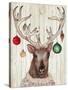 Christmas Reindeer II-Elizabeth Medley-Stretched Canvas