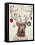 Christmas Reindeer II-Elizabeth Medley-Framed Stretched Canvas