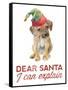 Christmas Retriever Puppy I-Lanie Loreth-Framed Stretched Canvas