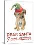 Christmas Retriever Puppy I-Lanie Loreth-Stretched Canvas