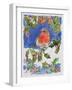 Christmas Robin, 1996-Diane Matthes-Framed Giclee Print