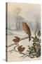 Christmas Robin and Friends-Harry Bright-Stretched Canvas