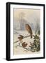 Christmas Robin and Friends-Harry Bright-Framed Giclee Print