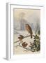 Christmas Robin and Friends-Harry Bright-Framed Giclee Print