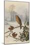 Christmas Robin and Friends-Harry Bright-Mounted Giclee Print