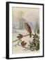 Christmas Robin and Friends-Harry Bright-Framed Giclee Print