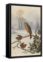 Christmas Robin and Friends-Harry Bright-Framed Stretched Canvas