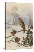 Christmas Robin and Friends-Harry Bright-Stretched Canvas