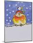 Christmas Robin-Diane Matthes-Mounted Giclee Print