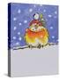 Christmas Robin-Diane Matthes-Stretched Canvas
